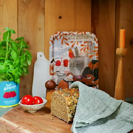 Creatively Converted Wooden Shed In The Forest