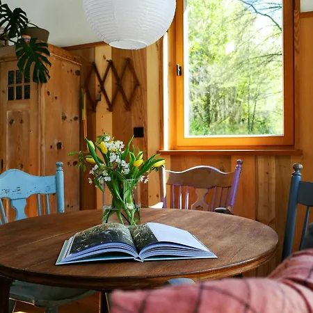 Сasa de vacaciones Creatively Converted Wooden Shed In The Forest *