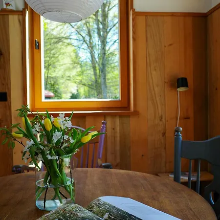 Creatively Converted Wooden Shed In The Forest Сasa de vacaciones Palling